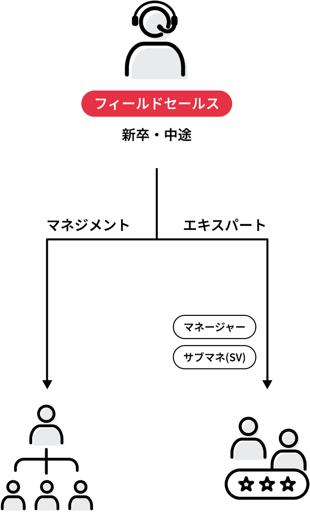 フィールドセールスの新卒・中途人材が複数のポジションを経験した上で「マネジメント」か「エキスパート」のどちらかにキャリアを積み上げる様子を描いたイラスト